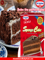 Dr.Oetker Nona Sponge Cake Chocolate 400G - Best Price in Bangladesh | Shampoobd