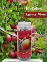 Nut Candy Sakura Plum 200G - Best Price in Bangladesh | Shampoobd