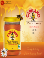 Capilano Pure Honey 500g - Best Price in Bangladesh | Shampoobd