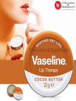 Vaseline Lip Therapy Cocoa Butter 20g - Best Price in Bangladesh | Shampoobd