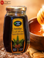 Virginia Green Garden Black Forest Honey 500g - Best Price in Bangladesh | Shampoobd