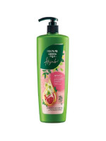 Follow Me Green Tea Hijab Anti-Itch Shampoo - Best Price in Bangladesh | Shampoobd