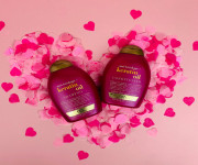 Ogx Anti-breakage Keratin Oil Shampoo