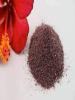 Joba Gura - Best Price in Bangladesh | Shampoobd