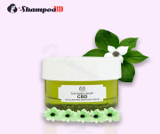 The Body Shop CBD Replenishing Moisture Cream 50ml: A Natural Skin Hydration Solution