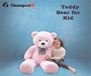 Teddy Bear for Kid - Best Price in Bangladesh | Shampoobd