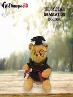 Teddy Bear Graduation Doctor - Best Price in Bangladesh | Shampoobd