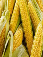 Corn 6 Pec (ভুট্টা 250 গ্রাম)