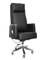 Comfortable Luxury Boss Chair (FT-H808) Black
