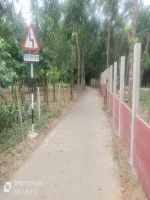 Precusting Wall