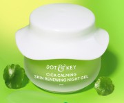 Dot & Key Skincare Cica Calming Skin Renewing Night Gel