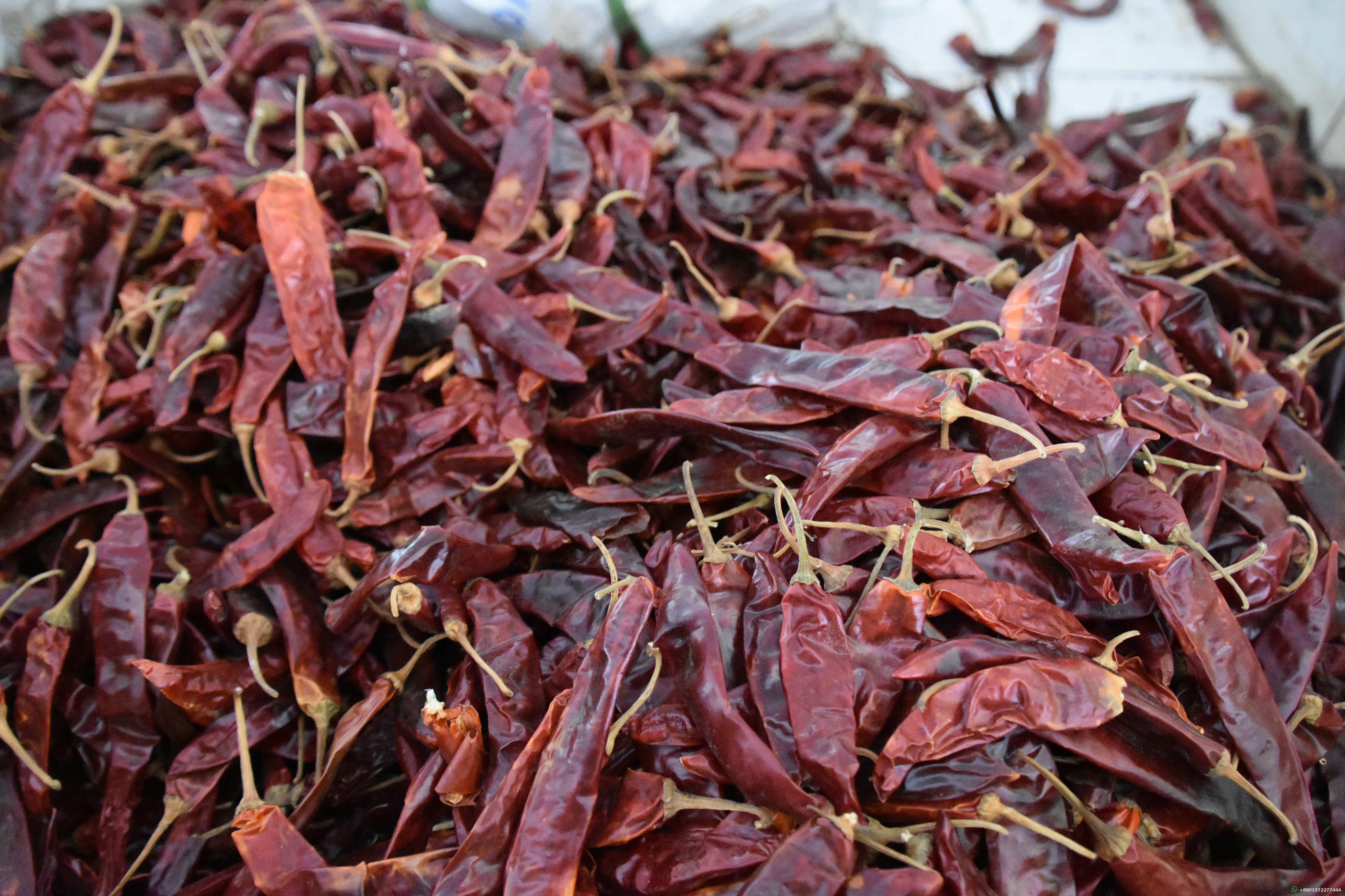 Dry Red Chilies Whole 100g