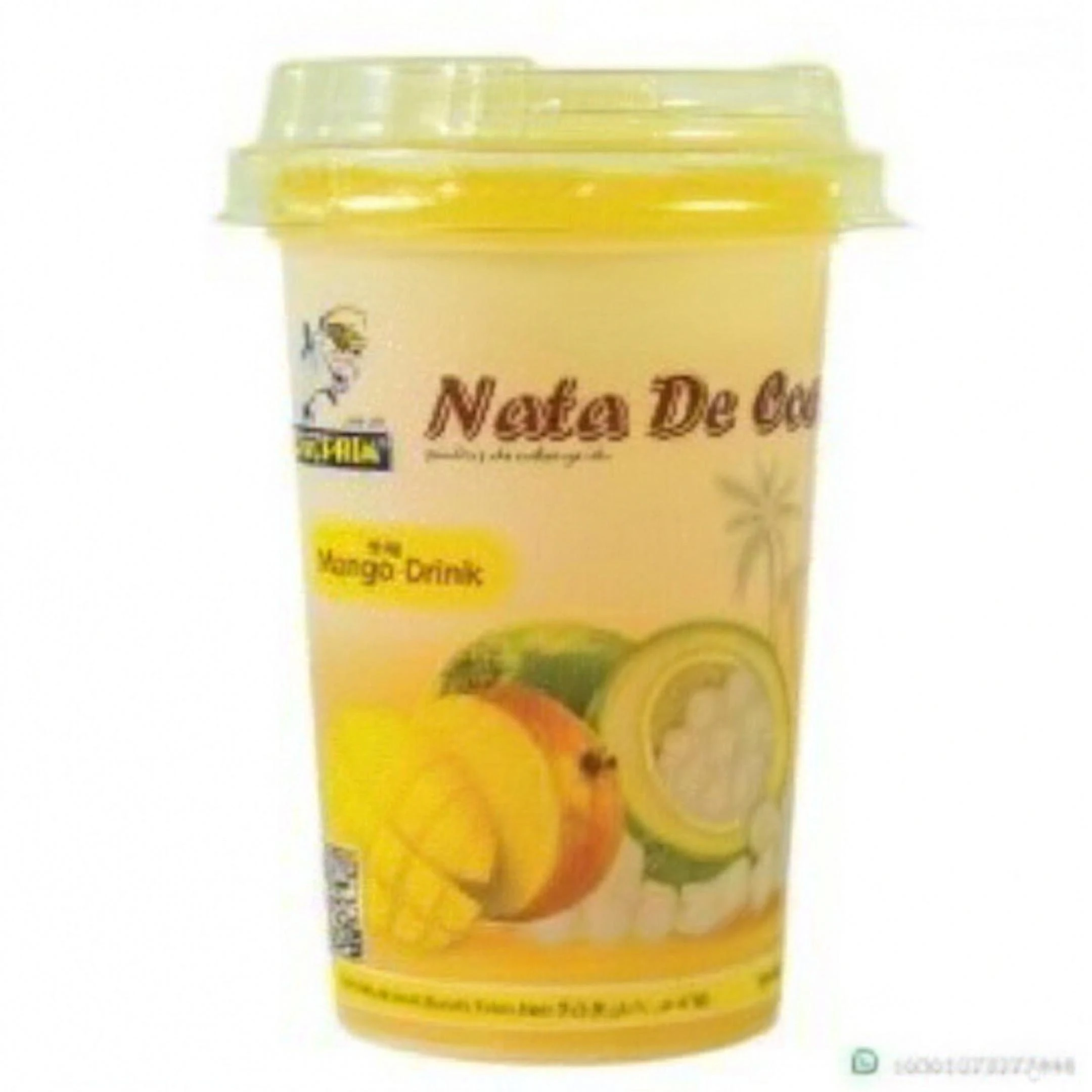 Dolphin Nata De Coco Mango Flavour