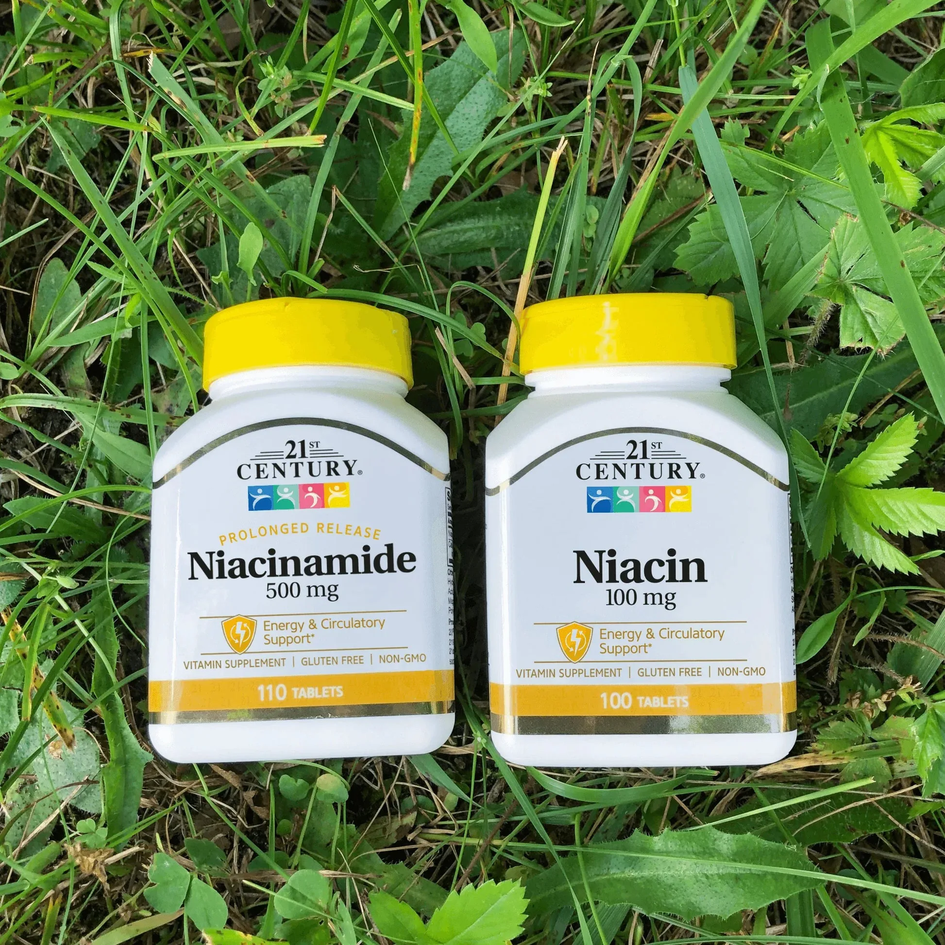 21st Century Niacinamide 500mg Vitamin Supplement