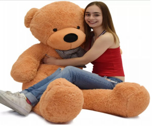 Teddy bear price in BD & Romantic Love Teddy Bear