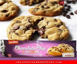 Shop the Delicious Sondey Chocolate Chip Cookies in 225G Pack Size | Buy Now