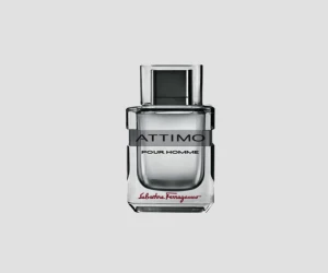 Salvador Attimo 100ml EDT: Unleash Your Irresistible Scent!