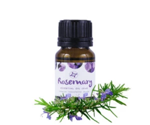 Skin Cafe Rosemary Essential Oil 10ML
