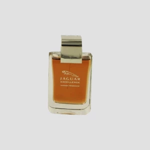 Jaguar Excellence: Unleashing Luxury and Performance for the Discerning Shopper