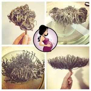 Flower of Maryam Buti: The Ultimate Solution for Easing Labour Pain and Supporting Pregnancy for Women