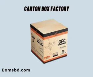 Fan Carton Box custom Packaging corrugated