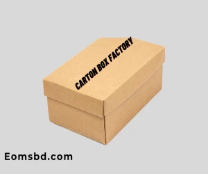 Custom Shoe boxes packaging