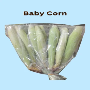 Baby Corn chinese vegetable for daily life