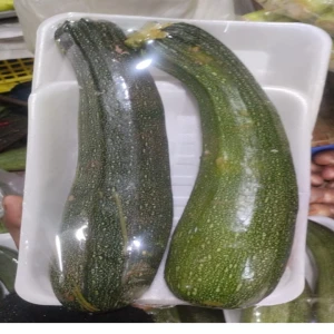 Fresh Organic Zucchini – Premium Quality Green Vegetable