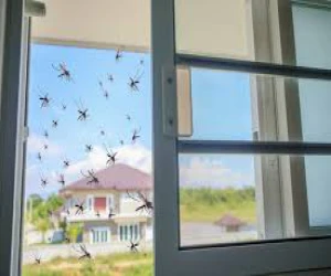 Anti Mosquito net Window Mesh For best protection from bugs