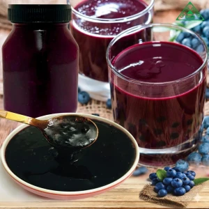 Taiwanese Premium Kiwi Jam With Particles 10kg tin