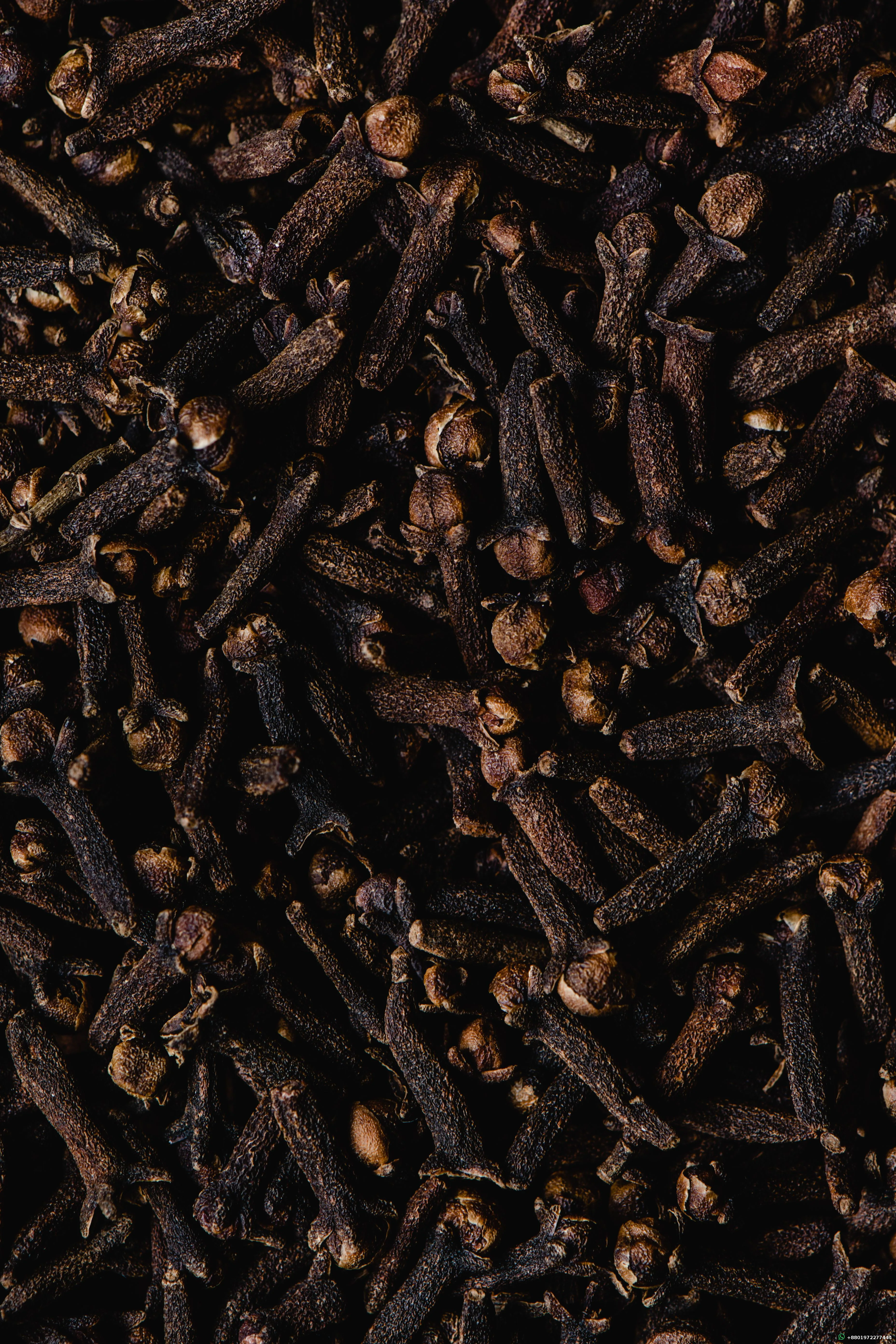 Dry Clove Lobongo 50gm