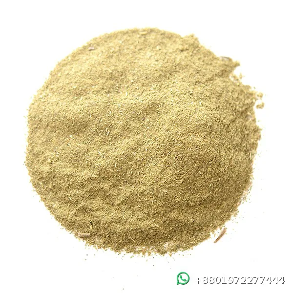 Organic Mexican Oregano Spice Powder 500g