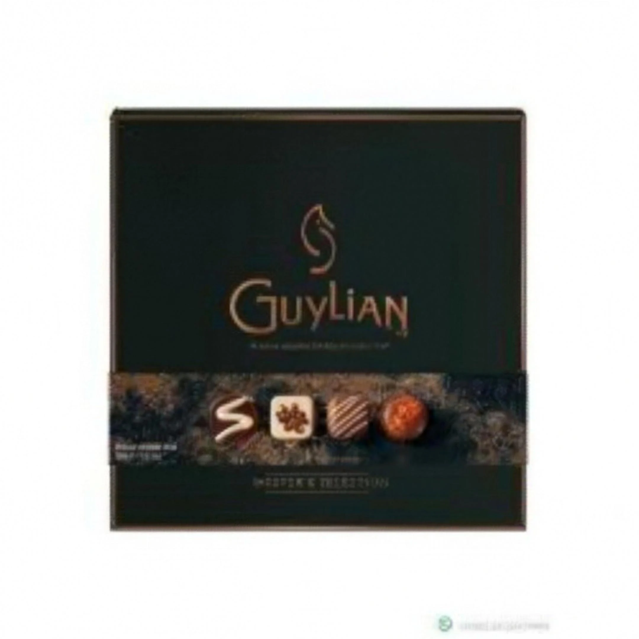 Guylian Master's Selection Belgian Chocolate 185g