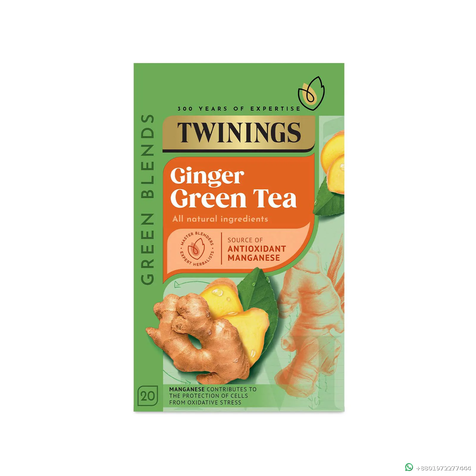 Twinings Green Tea and Ginger